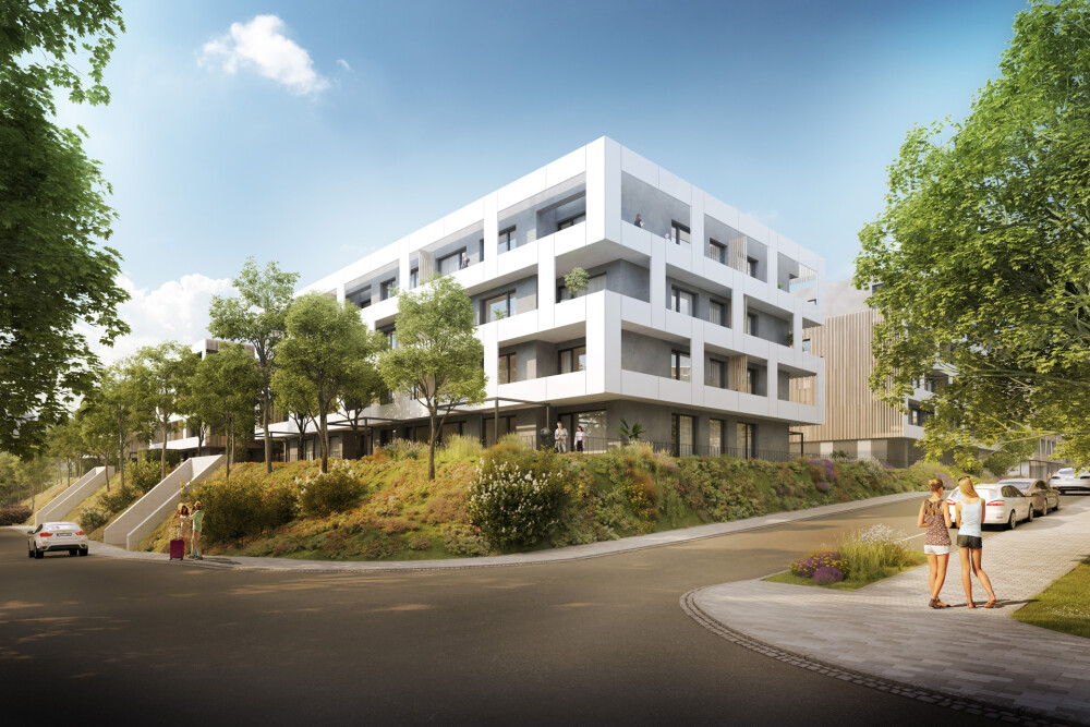 Byt 3+kk Papírna Plzeň